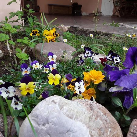 Sweet Dreams Home Trikala  Exterior foto